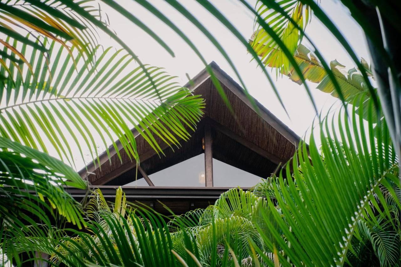 Lua Villas Playa Santa Teresa  外观 照片